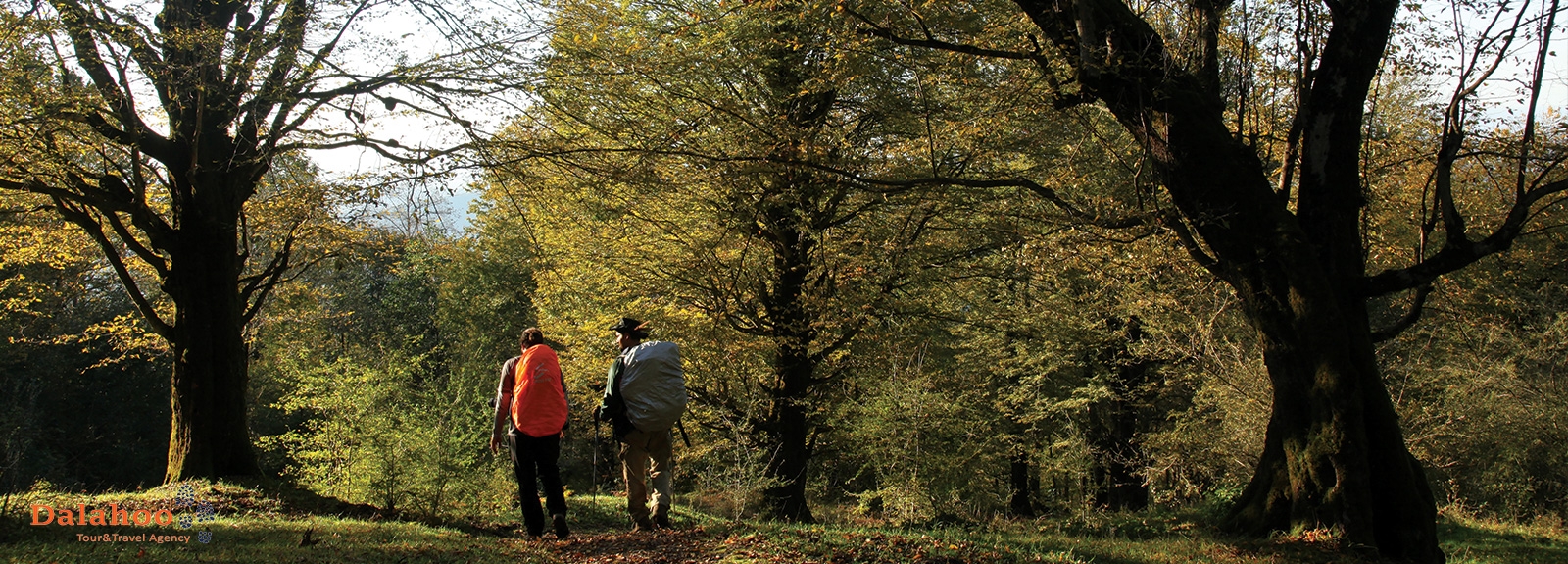 Golestan (Iran National Park)
