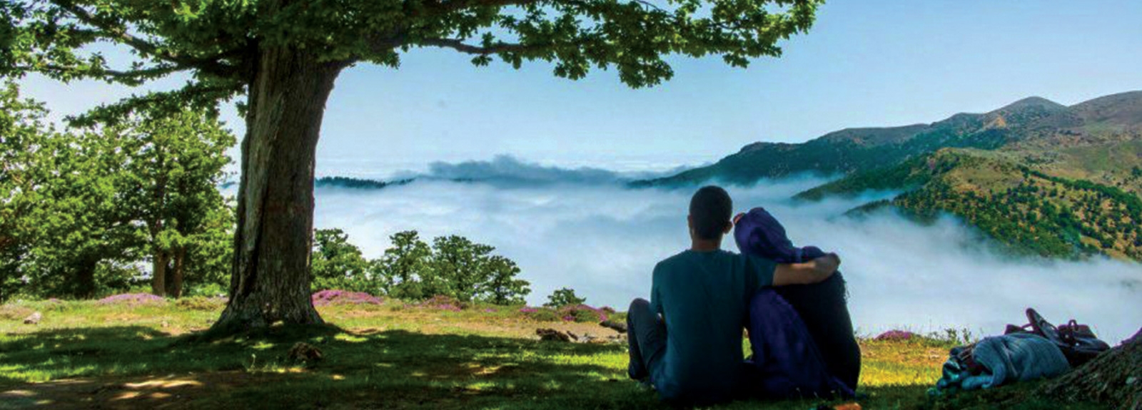 Cloud Forest