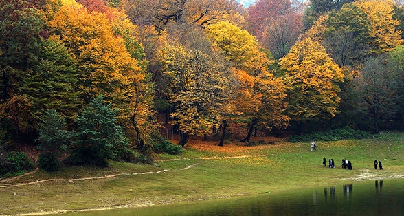 Golestan (Iran National Park)