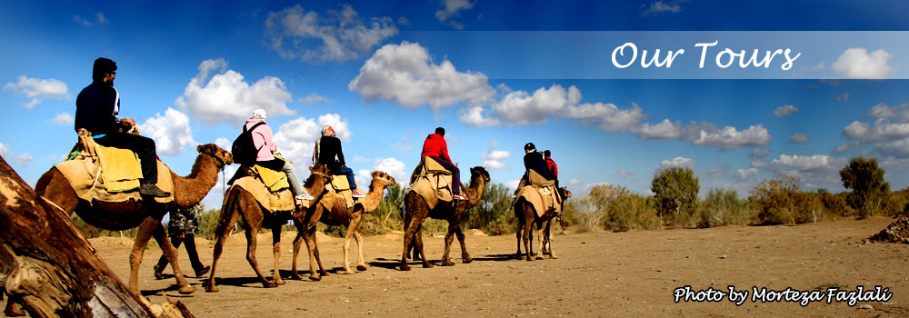 Our Tours